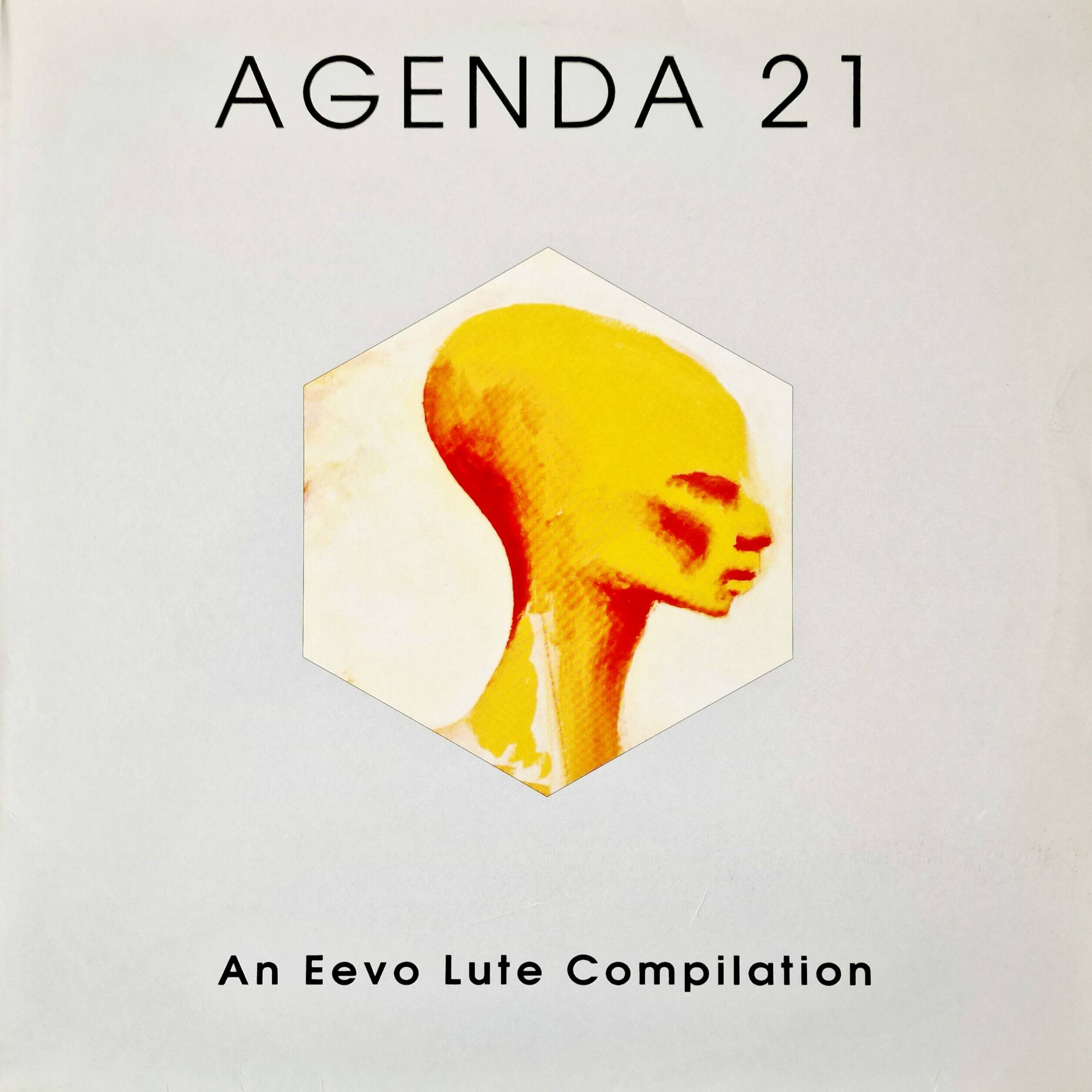 Agenda 21 1 scaled uai